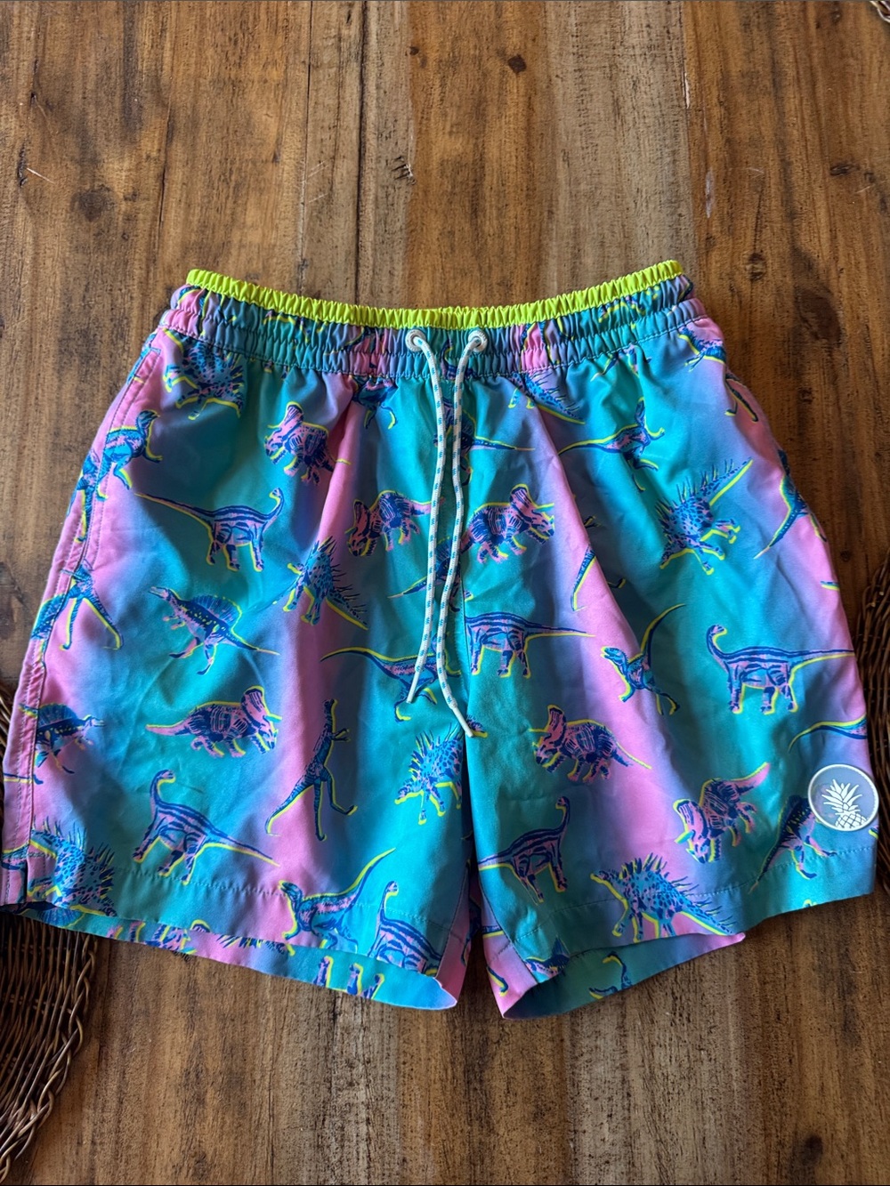 chubbies Teal Pink Neon Yellow Dinosaur Print Swim Trunks